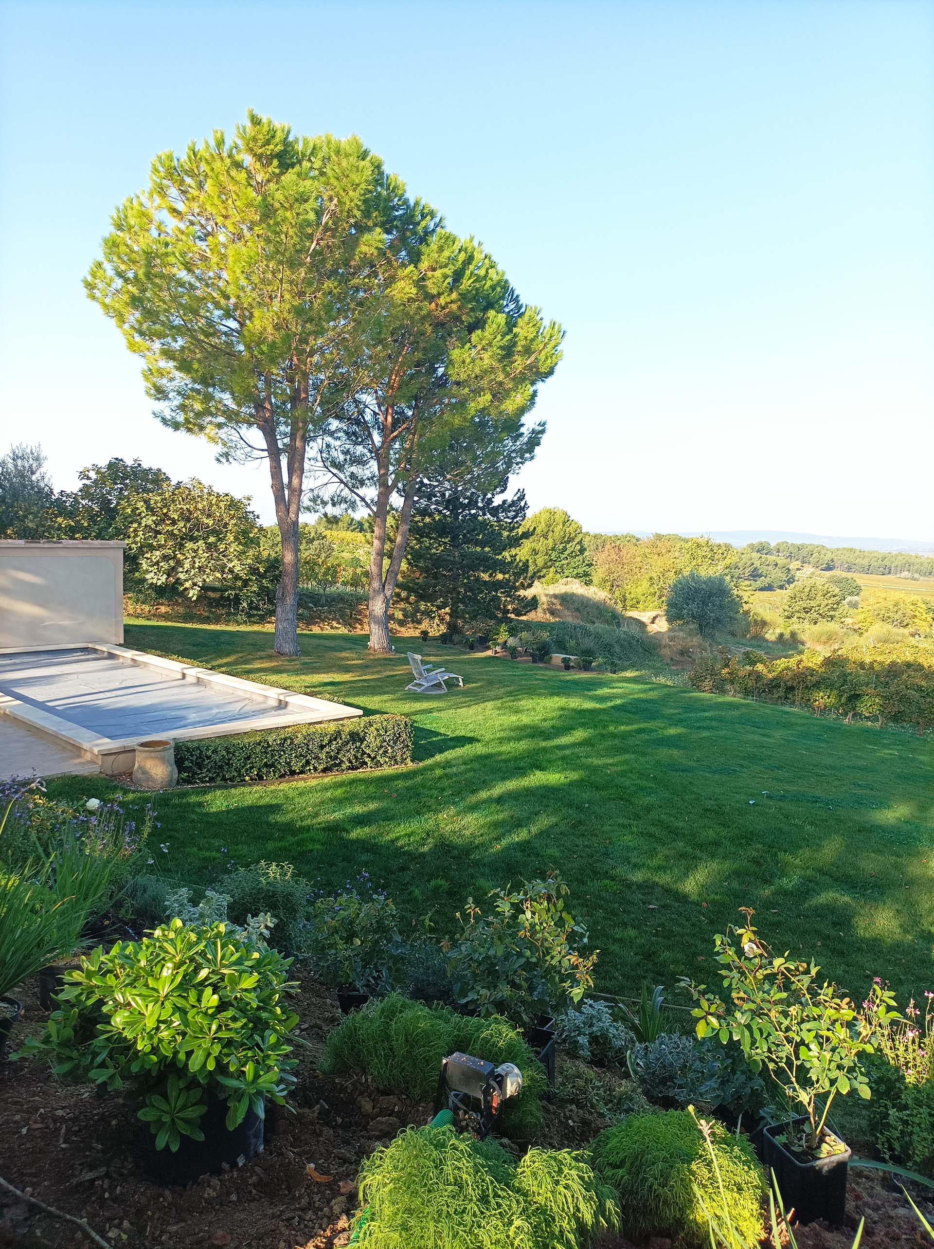 Jardin en Provence, pin, piscine et vue magnifique