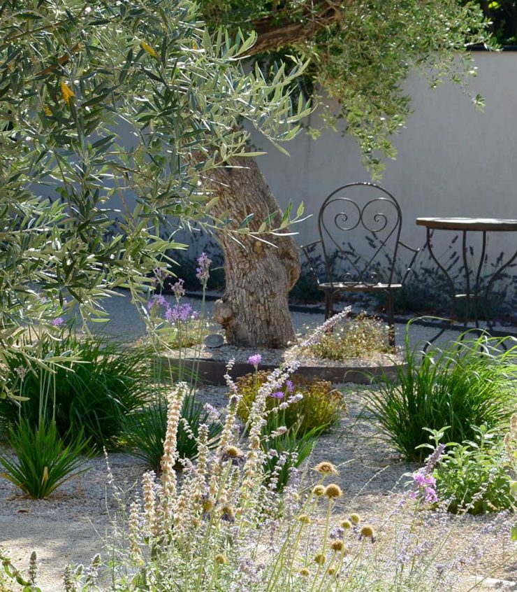 Jardin-sec_Avignon_graminés_Bettina-Martin_Artiste-paysagiste