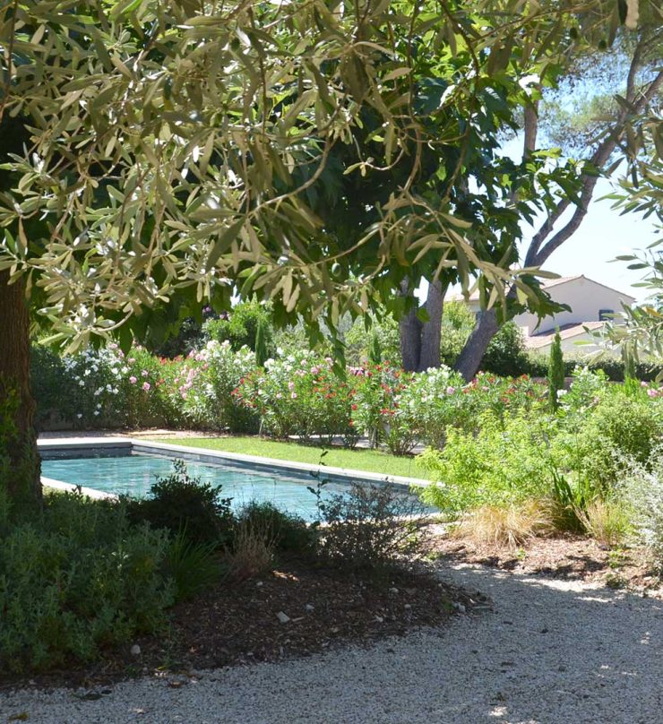 Jardin-village_bastide-provencale_vegetation-piscine_Bettina-Martin-Artiste-Paysagiste