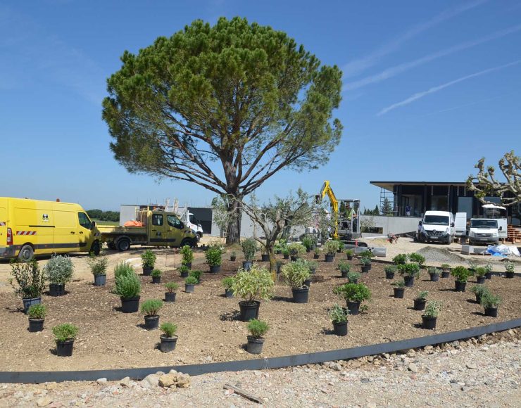Plantations_choix-végétaux-pépinières-locales_contrôle-phytosanitaire_implantation_02 Plantations_choix-végétaux-pépinières-locales_contrôle-phytosanitaire_implantation_02