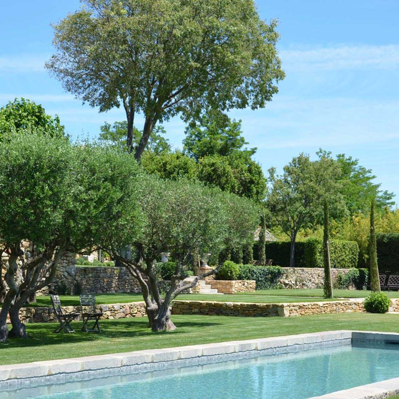 jardin-structuré-en-provence_conception-de-jardin-de-prestige_paysali-garden-design_luberon_jardin-en-restanques